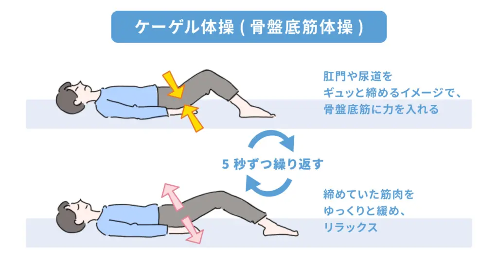 骨盤底筋トレーニングで早漏を改善｜「筋トレ」で射精コントロールを手